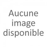 Brosses à chaussures